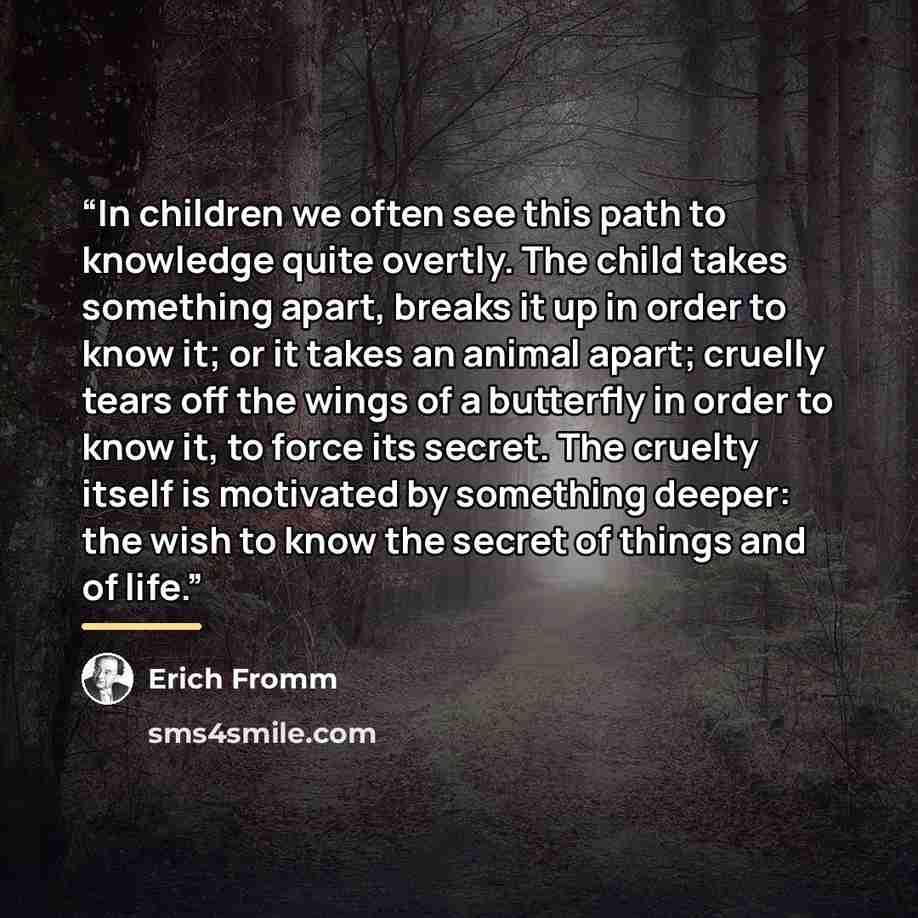 “In children we often see this path to knowledge quite overtly. The child takes something apart, breaks it up in order to know it; or it takes an animal apart; cruelly tears off the wings of a butterfly in order to know it, to force its secret. The cruelty itself is motivated by something deeper…” quote by Erich Fromm