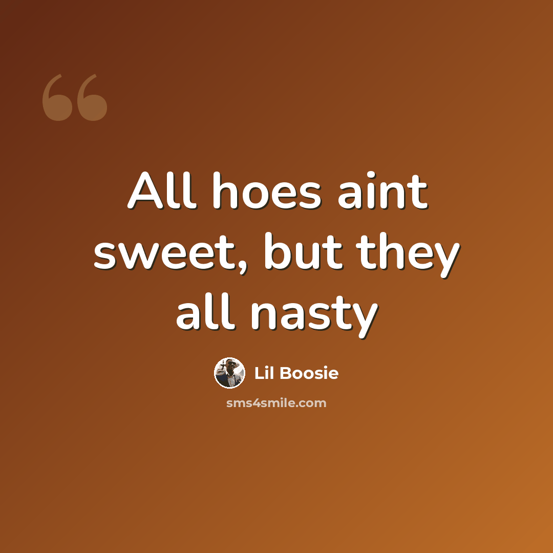 “All hoes aint sweet, but they all nasty” quote by Lil Boosie