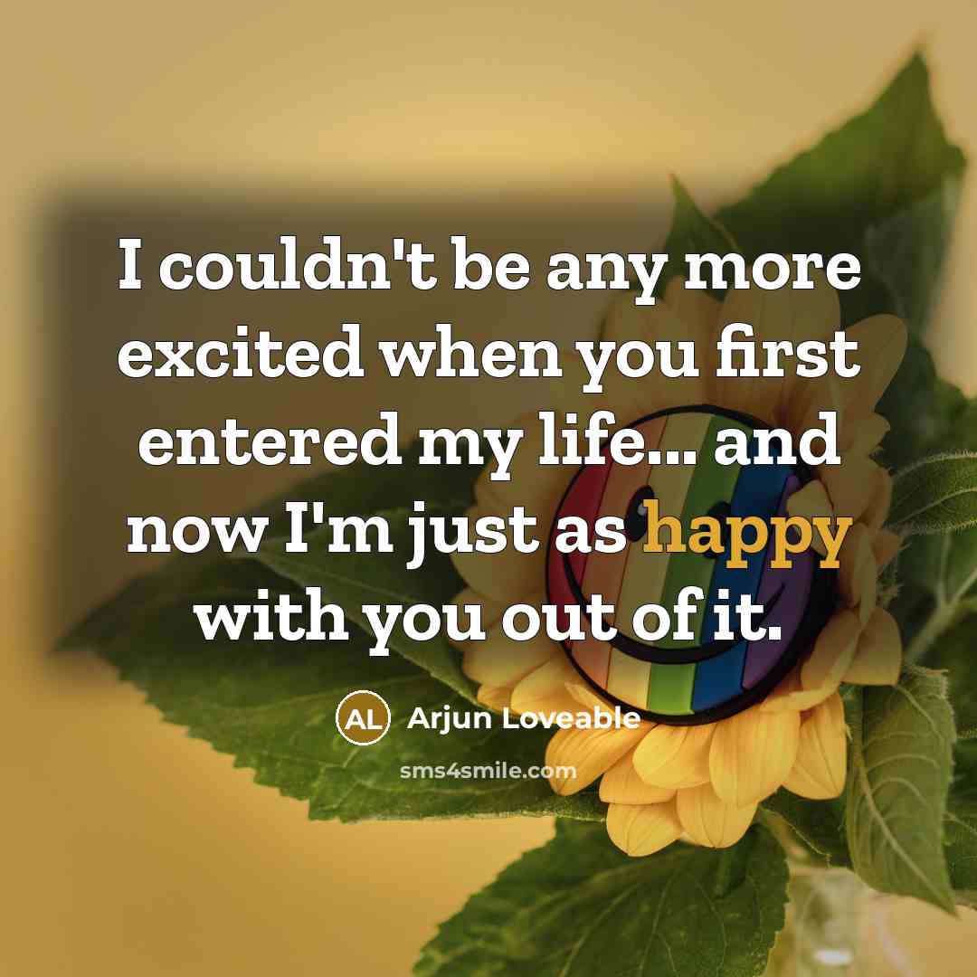 “I couldn't be any more excited when you first entered my life... and now I'm just as happy with you out of it.” quote by Arjun Loveable