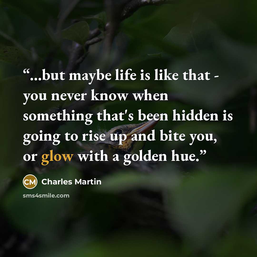“...but maybe life is like that - you never know when something that's been hidden is going to rise up and bite you, or glow with a golden hue.” quote by Charles Martin