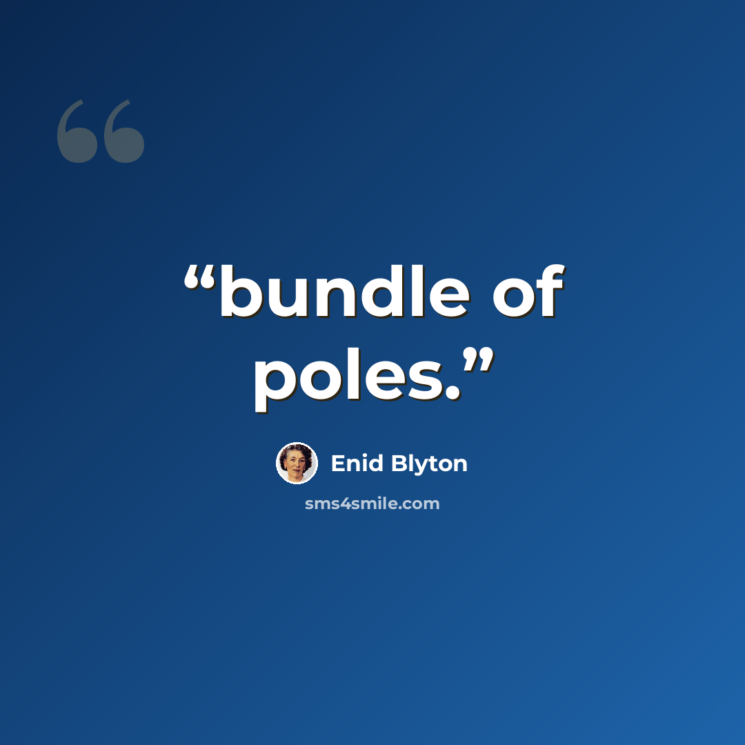 “bundle of poles.” quote by Enid Blyton