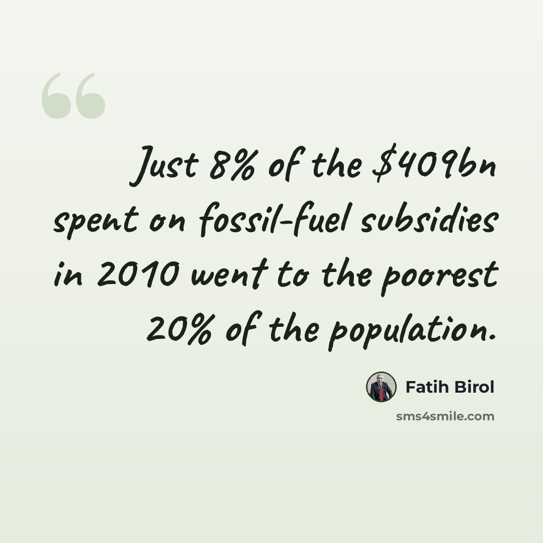 “Just 8% of the $409bn spent on fossil-fuel subsidies in 2010 went to the poorest 20% of the population.” quote by Fatih Birol