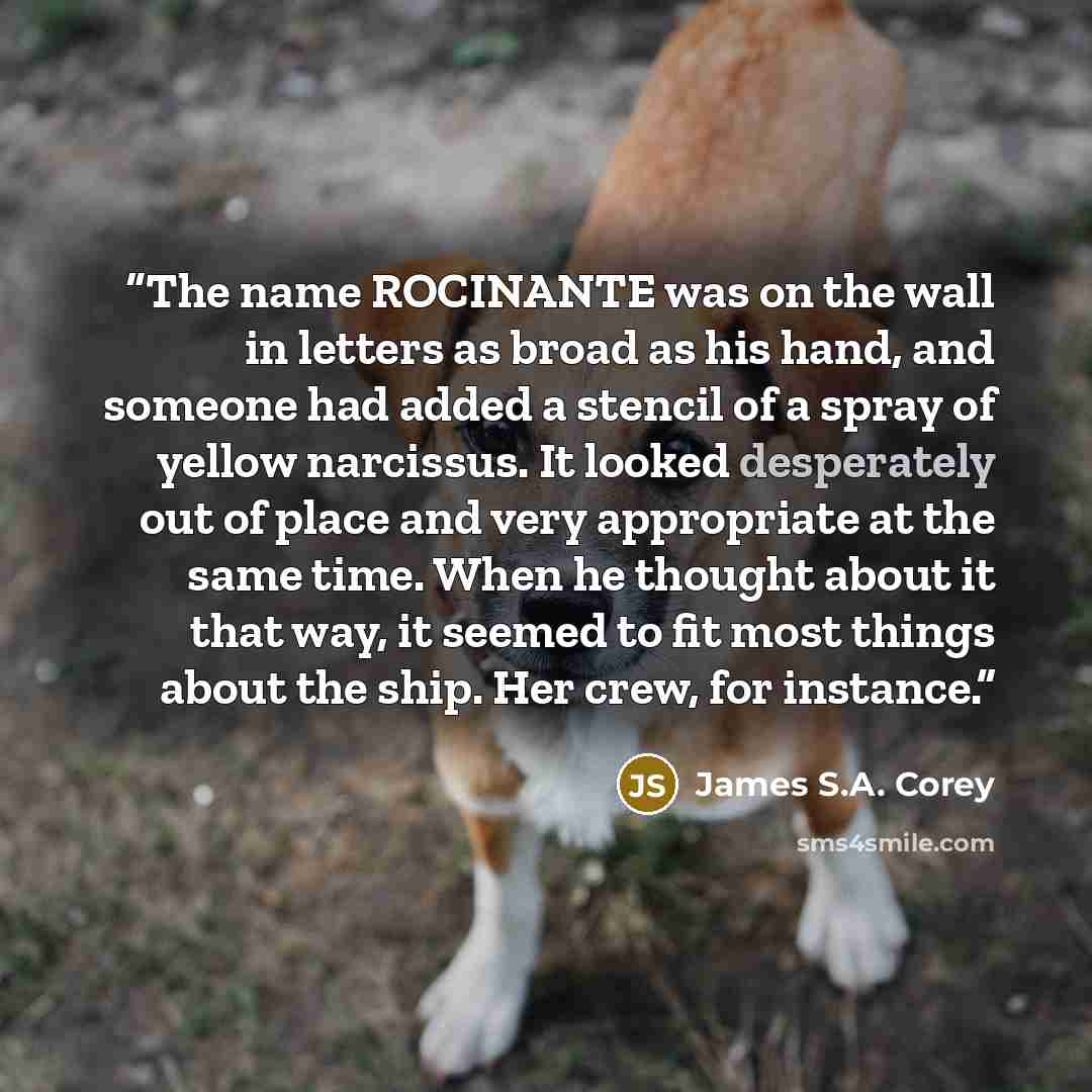 “The name ROCINANTE was on the wall in letters as broad as his hand, and someone had added a stencil of a spray of yellow narcissus. It looked desperately out of place and very appropriate at the same time. When he thought about it that way, it seemed to fit most things about the ship. Her crew…” quote by James S.A. Corey