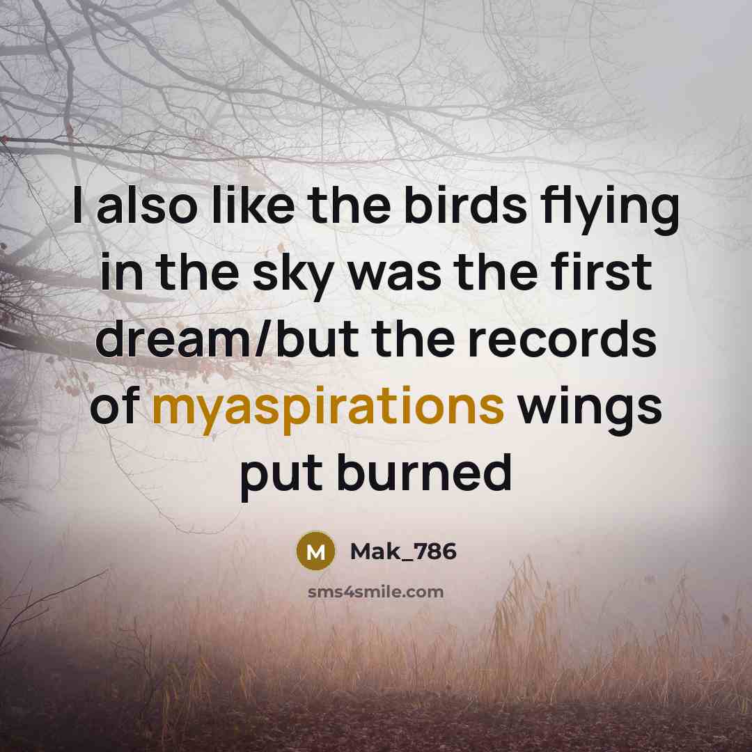 “I also like the birds flying in the sky was the first dream/but the records of myaspirations wings put burned” quote by Mak_786