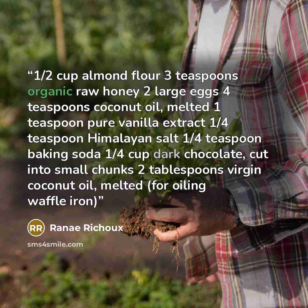 “1/2 cup almond flour 3 teaspoons organic raw honey 2 large eggs 4 teaspoons coconut oil, melted 1 teaspoon pure vanilla extract 1/4 teaspoon Himalayan salt 1/4 teaspoon baking soda 1/4 cup dark chocolate, cut into small chunks 2 tablespoons virgin coconut oil, melted (for oiling waffle iron)” quote by Ranae Richoux