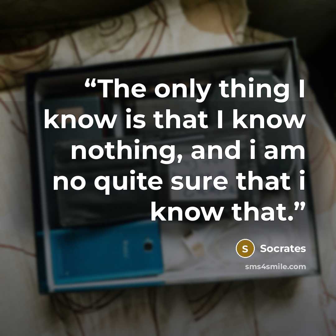 “The only thing I know is that I know nothing, and i am no quite sure that i know that.” quote by Socrates