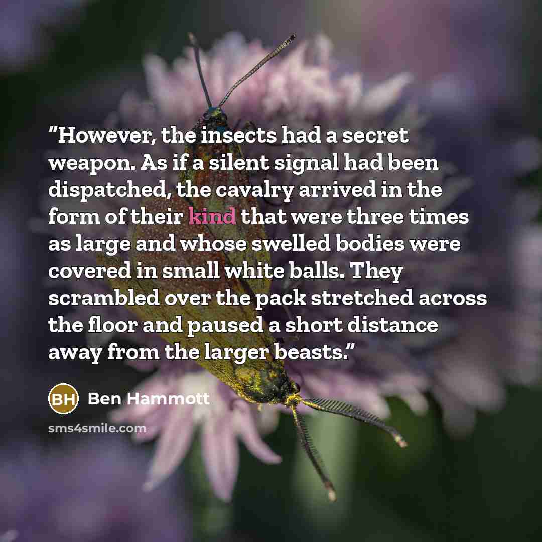 “However, the insects had a secret weapon. As if a silent signal had been dispatched, the cavalry arrived in the form of their kind that were three times as large and whose swelled bodies were covered in small white balls. They scrambled over the pack stretched across the floor and paused a short…” quote by Ben Hammott