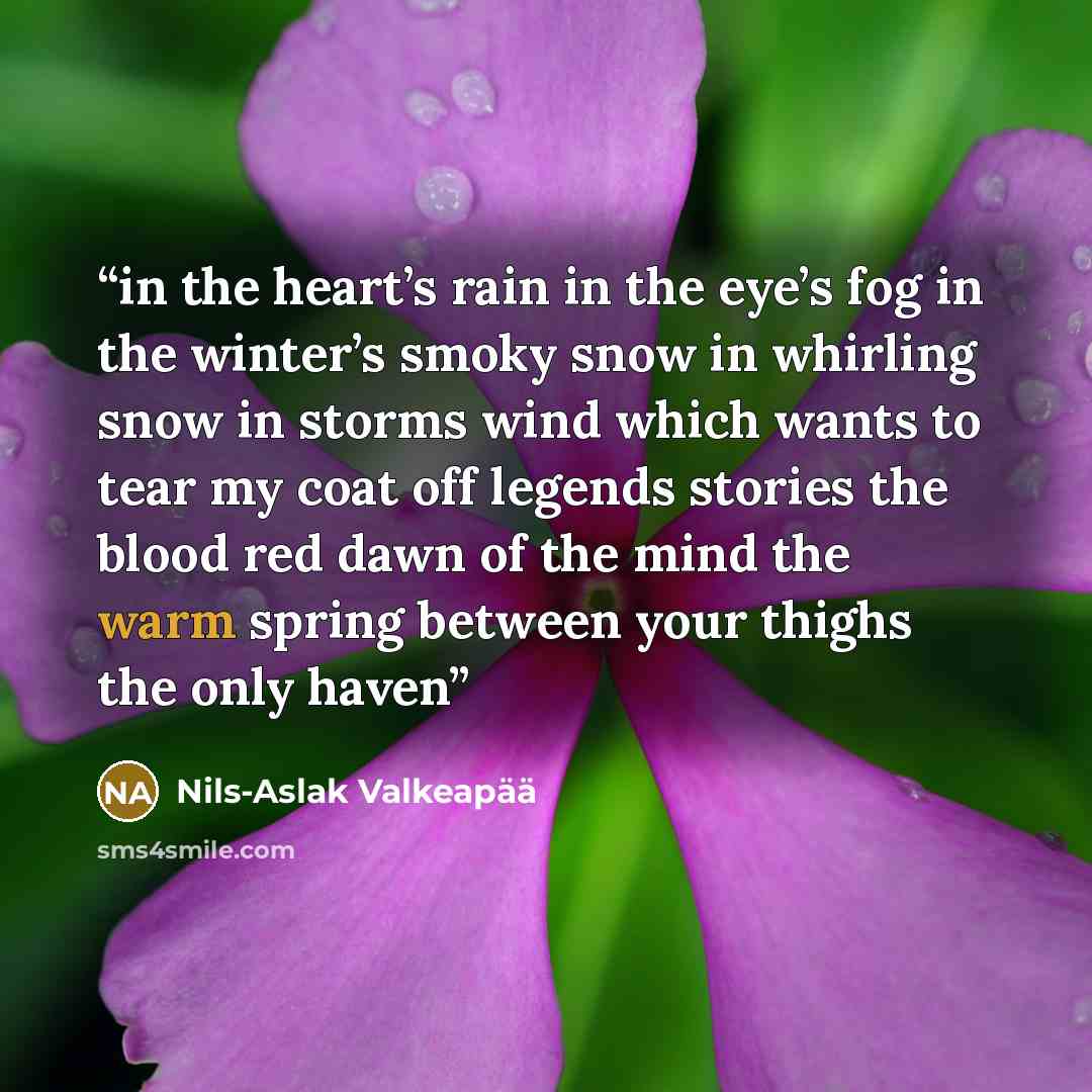 “in the heart’s rain in the eye’s fog in the winter’s smoky snow in whirling snow in storms wind which wants to tear my coat off legends stories the blood red dawn of the mind the warm spring between your thighs the only haven” quote by Nils-Aslak Valkeapää