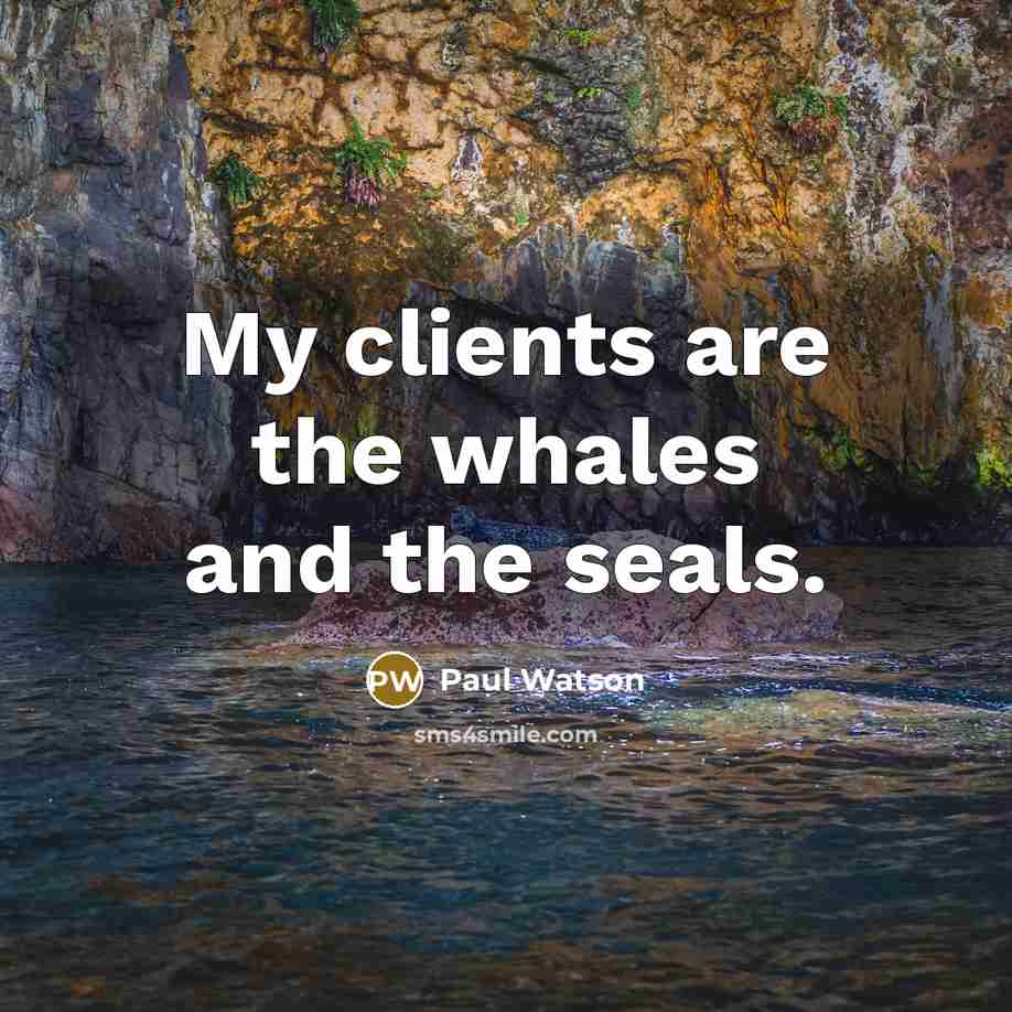 “My clients are the whales and the seals.” quote by Paul Watson