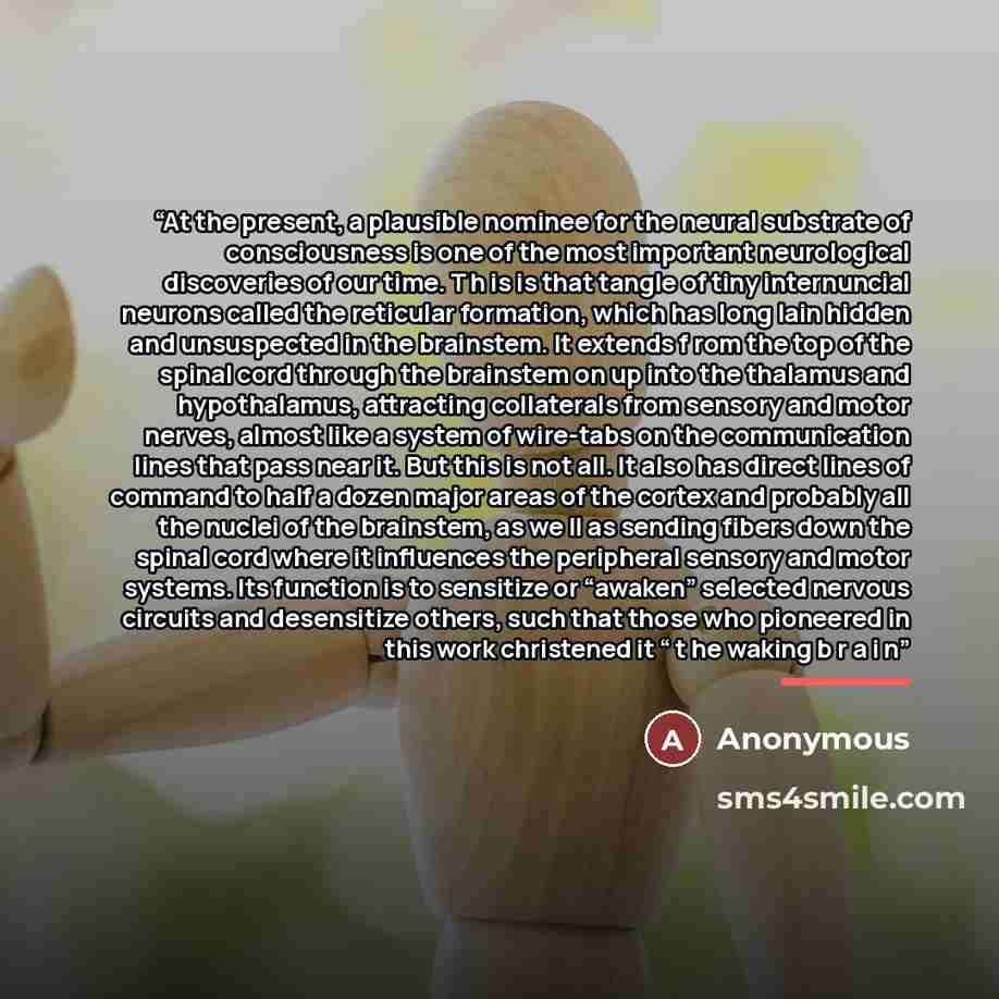 “At the present, a plausible nominee for the neural substrate of consciousness is one of the most important neurological discoveries of our time. T h is is that tangle of tiny internuncial neurons called the reticular formation, which has long lain hidden and unsuspected in the brainstem. It…” quote by Anonymous