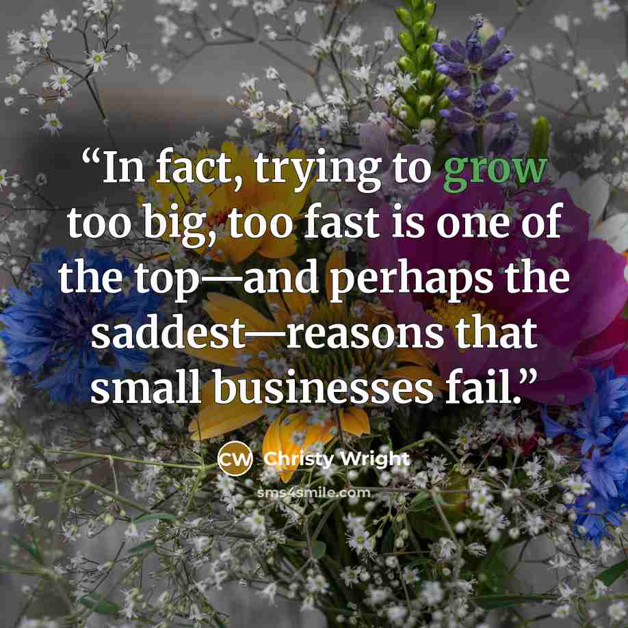 “In fact, trying to grow too big, too fast is one of the top—and perhaps the saddest—reasons that small businesses fail.” quote by Christy Wright