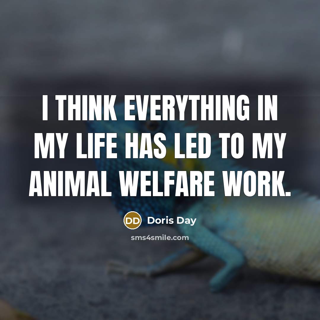 “I think everything in my life has led to my animal welfare work.” quote by Doris Day
