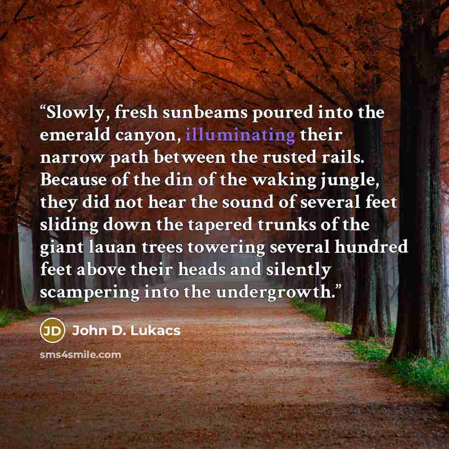 “Slowly, fresh sunbeams poured into the emerald canyon, illuminating their narrow path between the rusted rails. Because of the din of the waking jungle, they did not hear the sound of several feet sliding down the tapered trunks of the giant lauan trees towering several hundred feet above their…” quote by John D. Lukacs