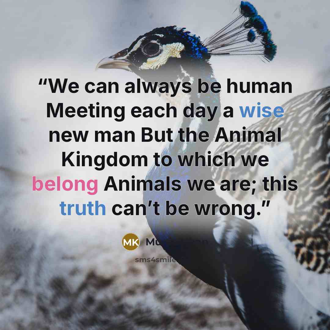 “We can always be human Meeting each day a wise new man But the Animal Kingdom to which we belong Animals we are; this truth can’t be wrong.” quote by Munia Khan