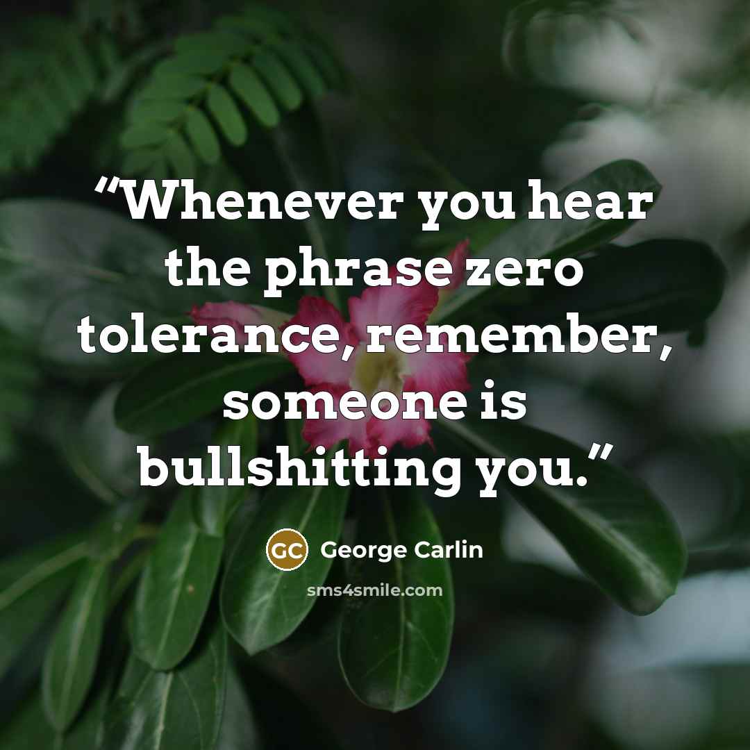 “Whenever you hear the phrase zero tolerance, remember, someone is bullshitting you.” quote by George Carlin