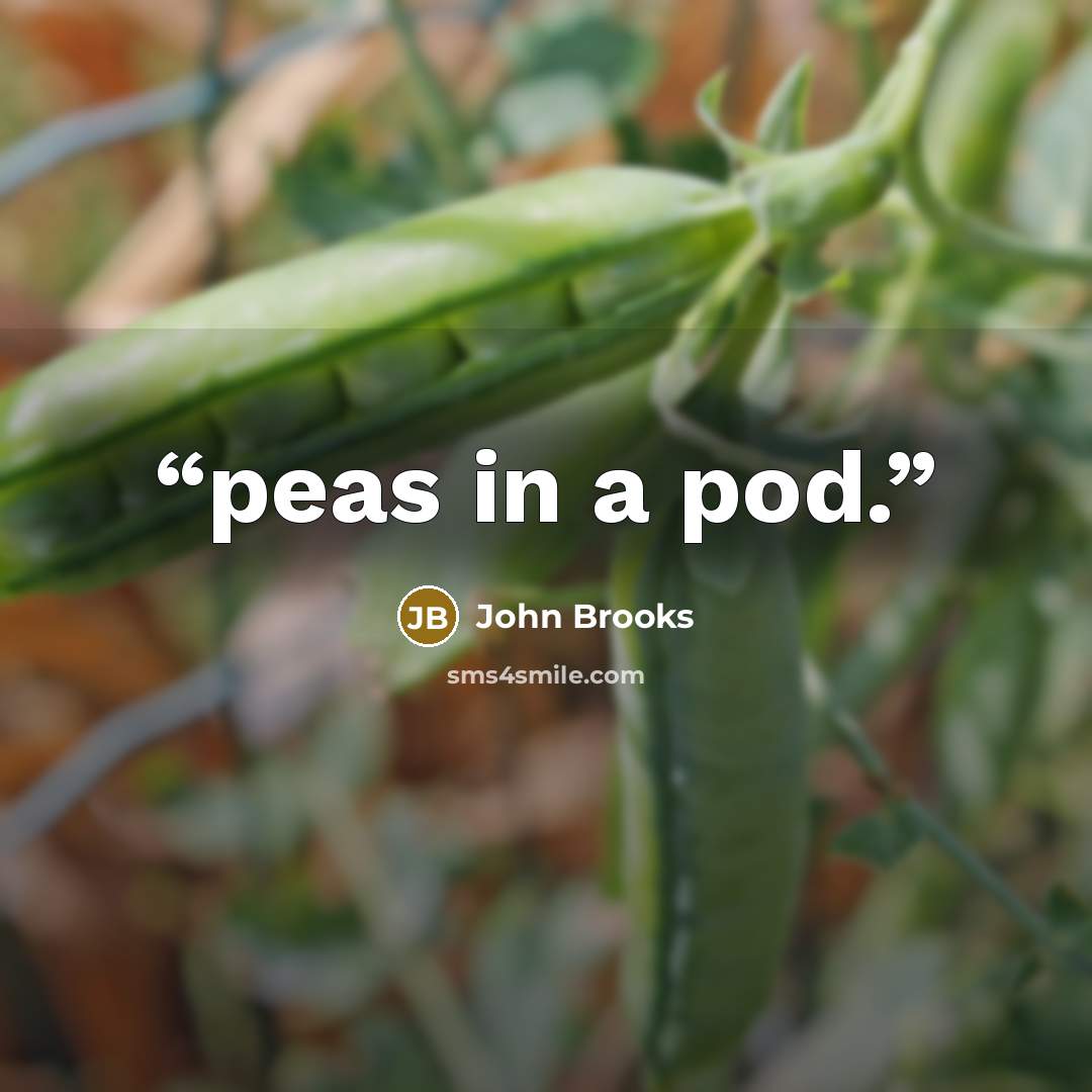 “peas in a pod.” quote by John Brooks