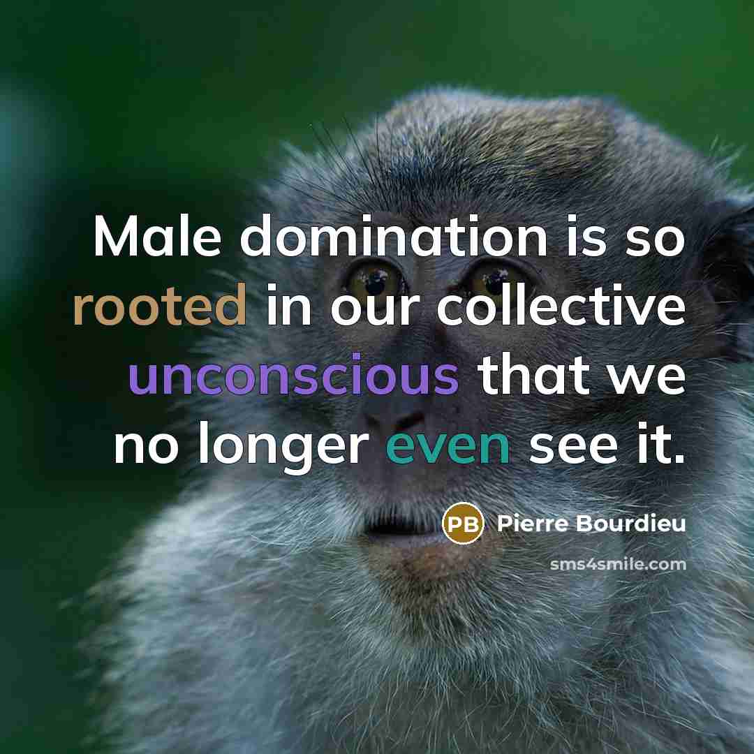 “Male domination is so rooted in our collective unconscious that we no longer even see it.” quote by Pierre Bourdieu