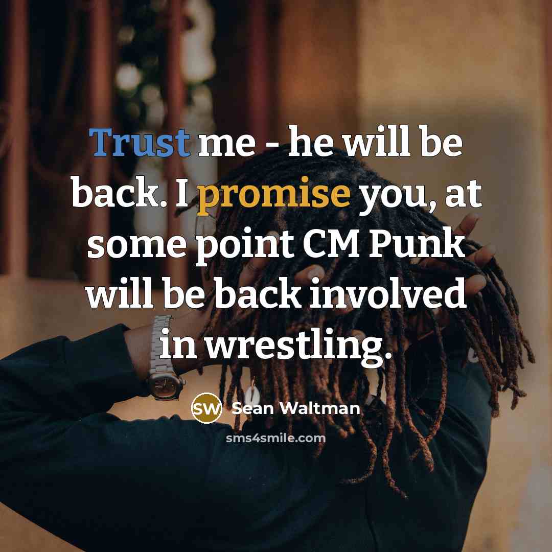 “Trust me - he will be back. I promise you, at some point CM Punk will be back involved in wrestling.” quote by Sean Waltman