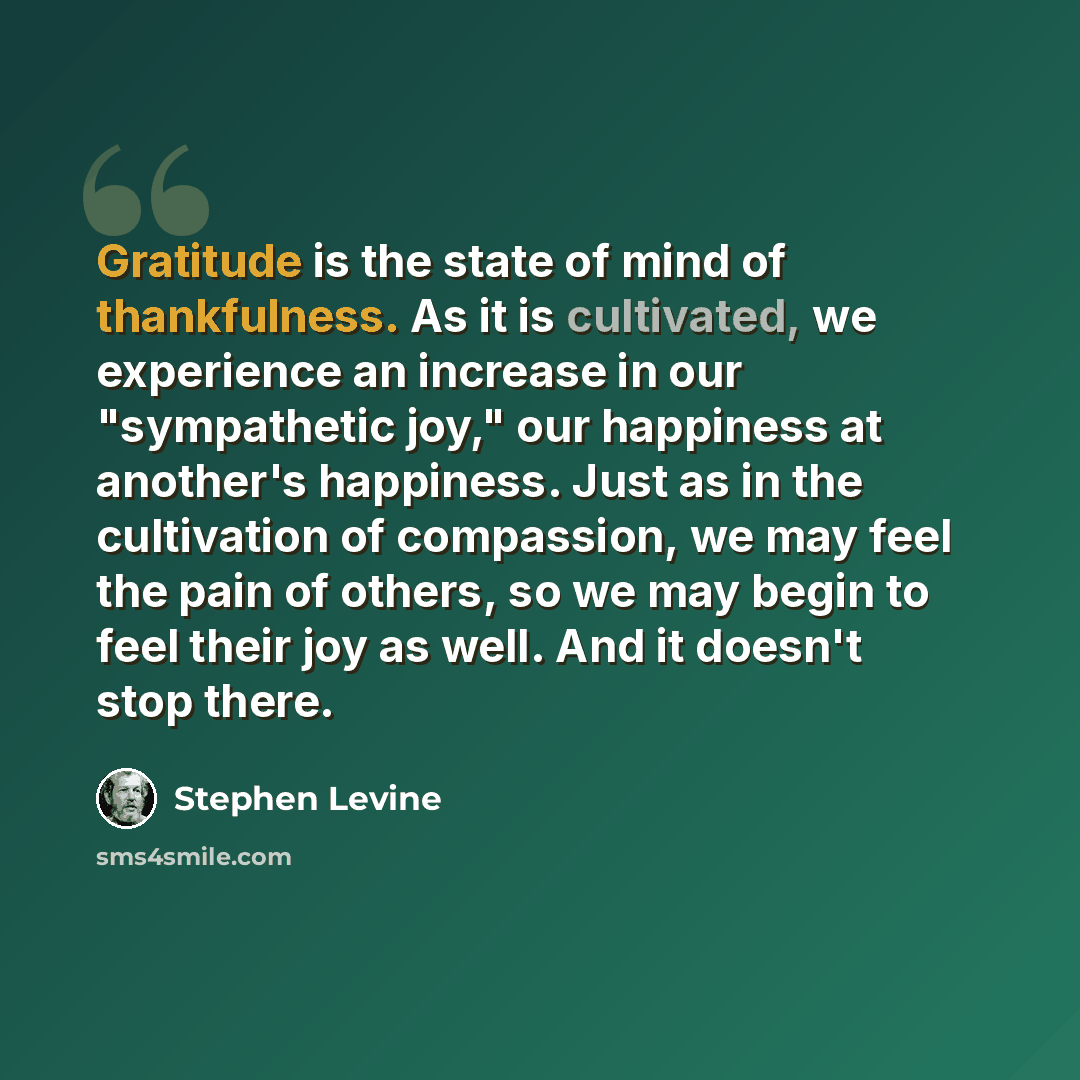 “Gratitude is the state of mind of thankfulness. As it is cultivated, we experience an increase in our "sympathetic joy," our happiness at another's happiness. Just as in the cultivation of compassion, we may feel the pain of others, so we may begin to feel their joy as well. And it doesn't stop…” quote by Stephen Levine
