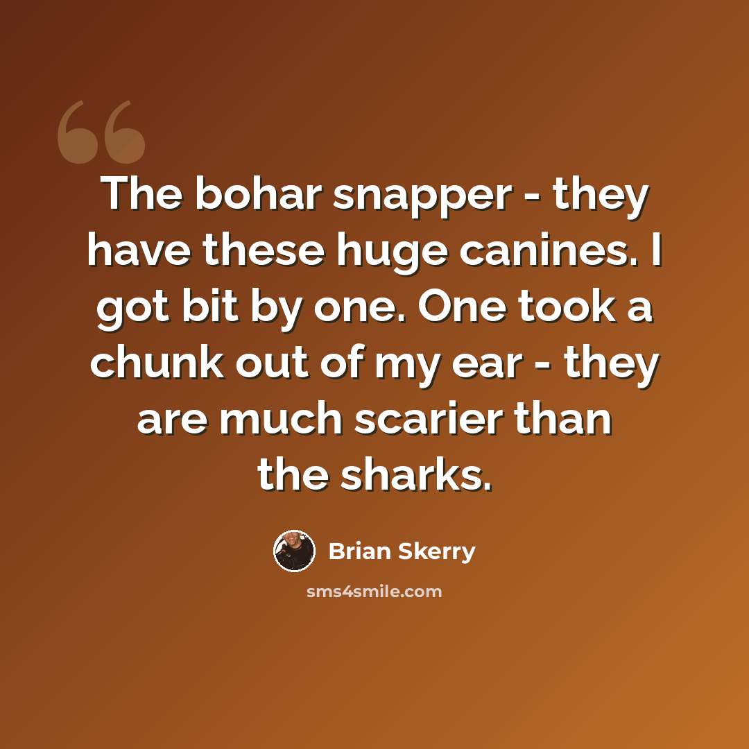 “The bohar snapper - they have these huge canines. I got bit by one. One took a chunk out of my ear - they are much scarier than the sharks.” quote by Brian Skerry