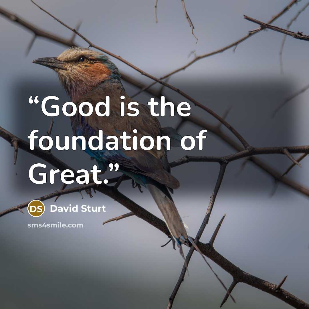 “Good is the foundation of Great.” quote by David Sturt