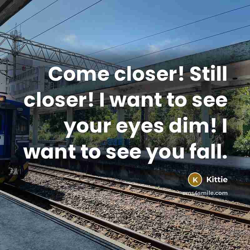 “Come closer! Still closer! I want to see your eyes dim! I want to see you fall.” quote by Kittie