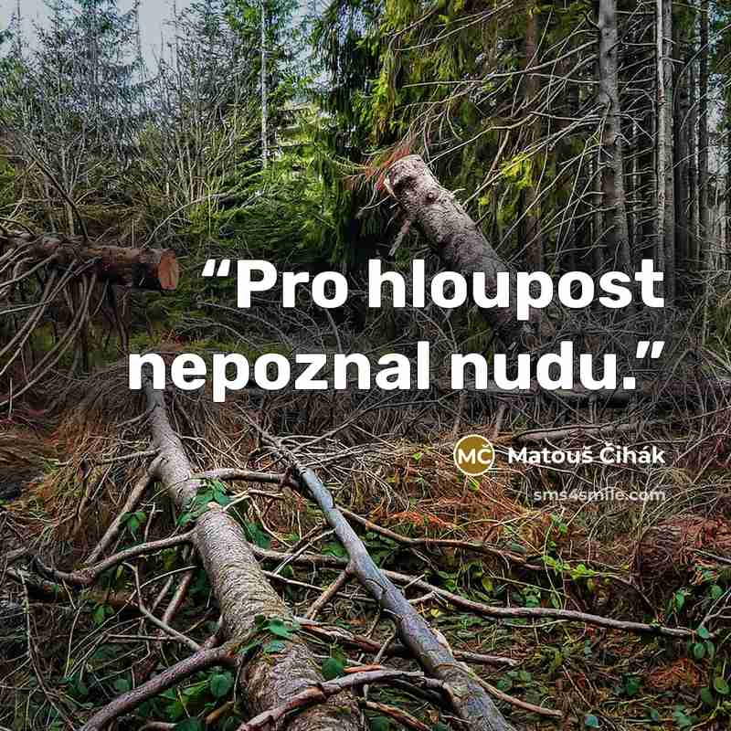“Pro hloupost nepoznal nudu.” quote by Matouš Čihák