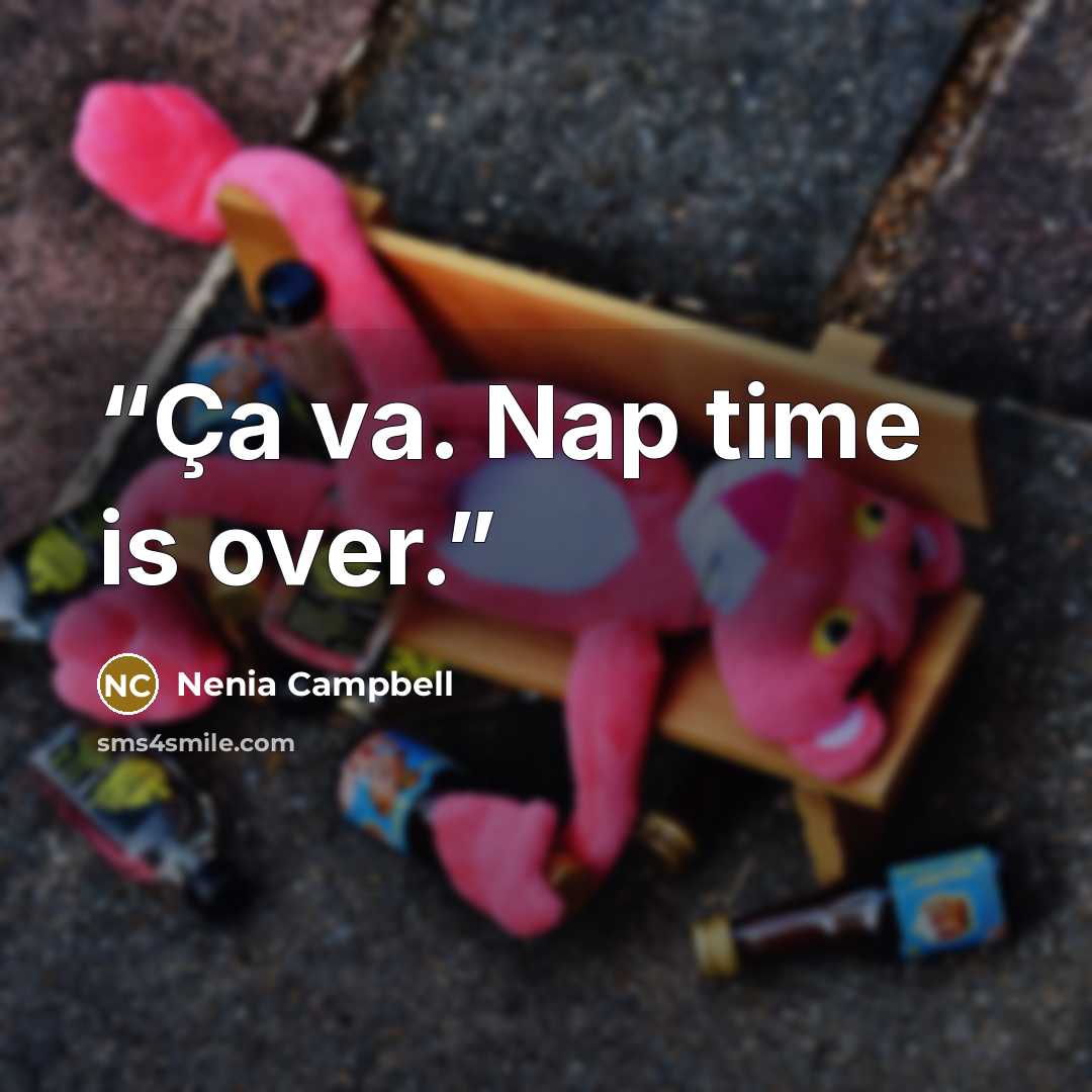 “Ça va. Nap time is over.” quote by Nenia Campbell