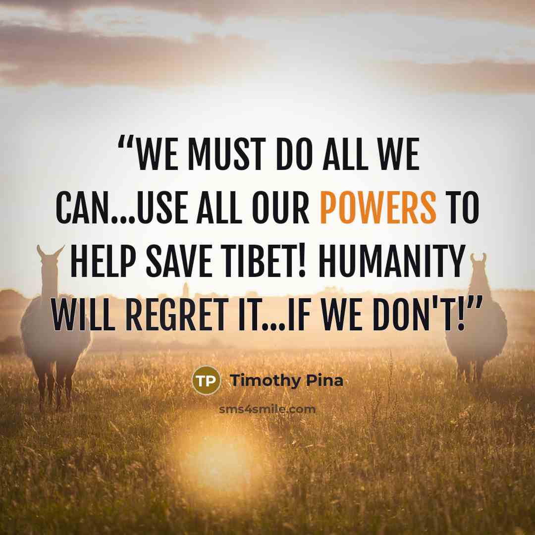 “We must do all we can...Use all our powers to help save Tibet! Humanity will regret it...if we don't!” quote by Timothy Pina