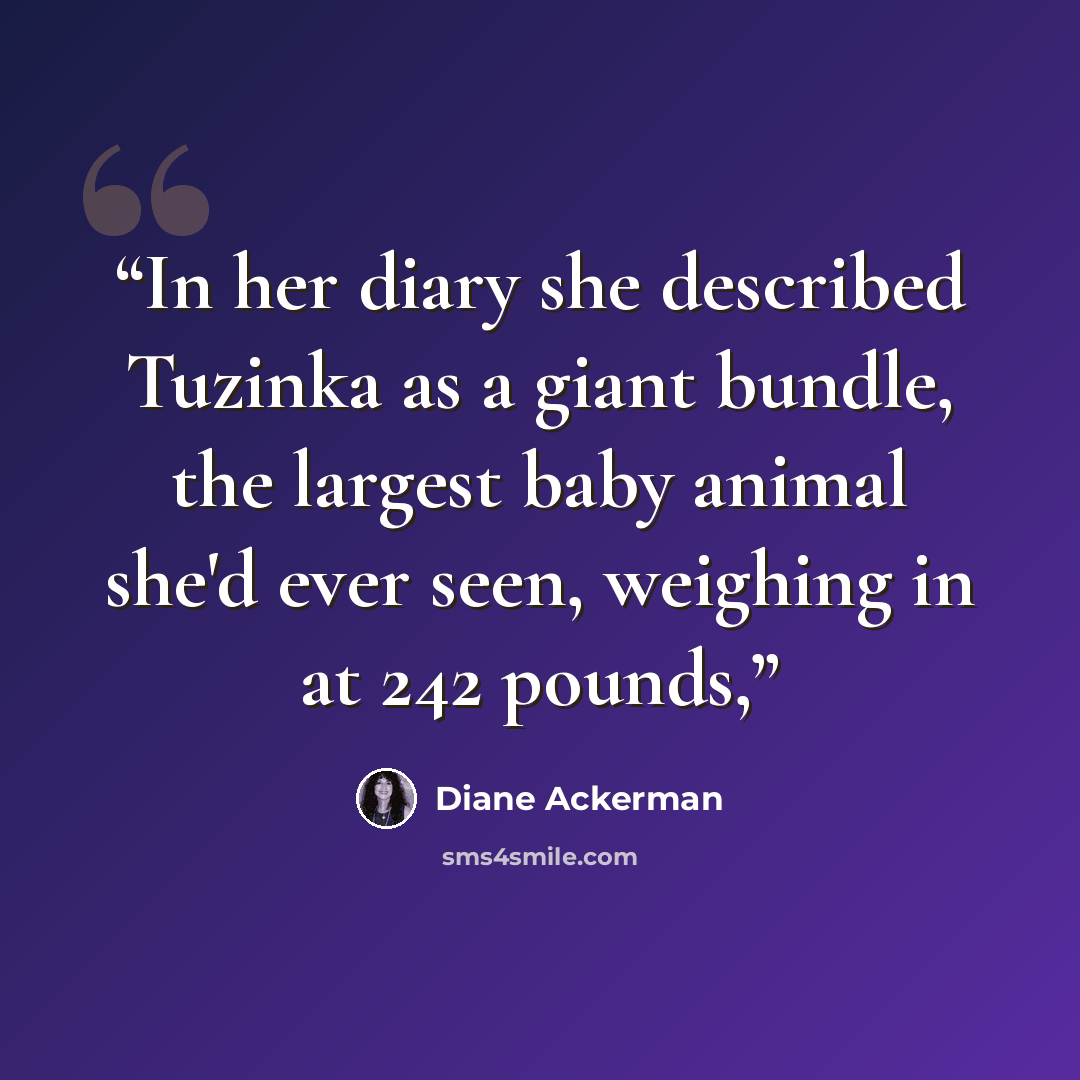 “In her diary she described Tuzinka as a giant bundle, the largest baby animal she'd ever seen, weighing in at 242 pounds,” quote by Diane Ackerman