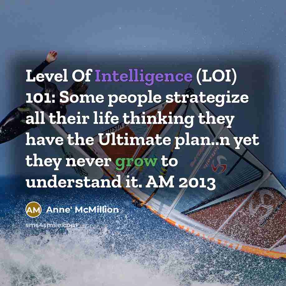 “Level Of Intelligence (LOI) 101: Some people strategize all their life thinking they have the Ultimate plan..n yet they never grow to understand it. AM 2013” quote by Anne' McMillion