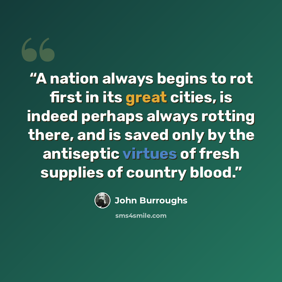 “A nation always begins to rot first in its great cities, is indeed perhaps always rotting there, and is saved only by the antiseptic virtues of fresh supplies of country blood.” quote by John Burroughs