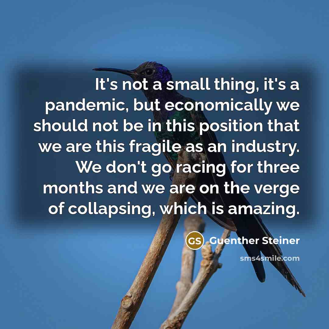 “It's not a small thing, it's a pandemic, but economically we should not be in this position that we are this fragile as an industry. We don't go racing for three months and we are on the verge of collapsing, which is amazing.” quote by Guenther Steiner