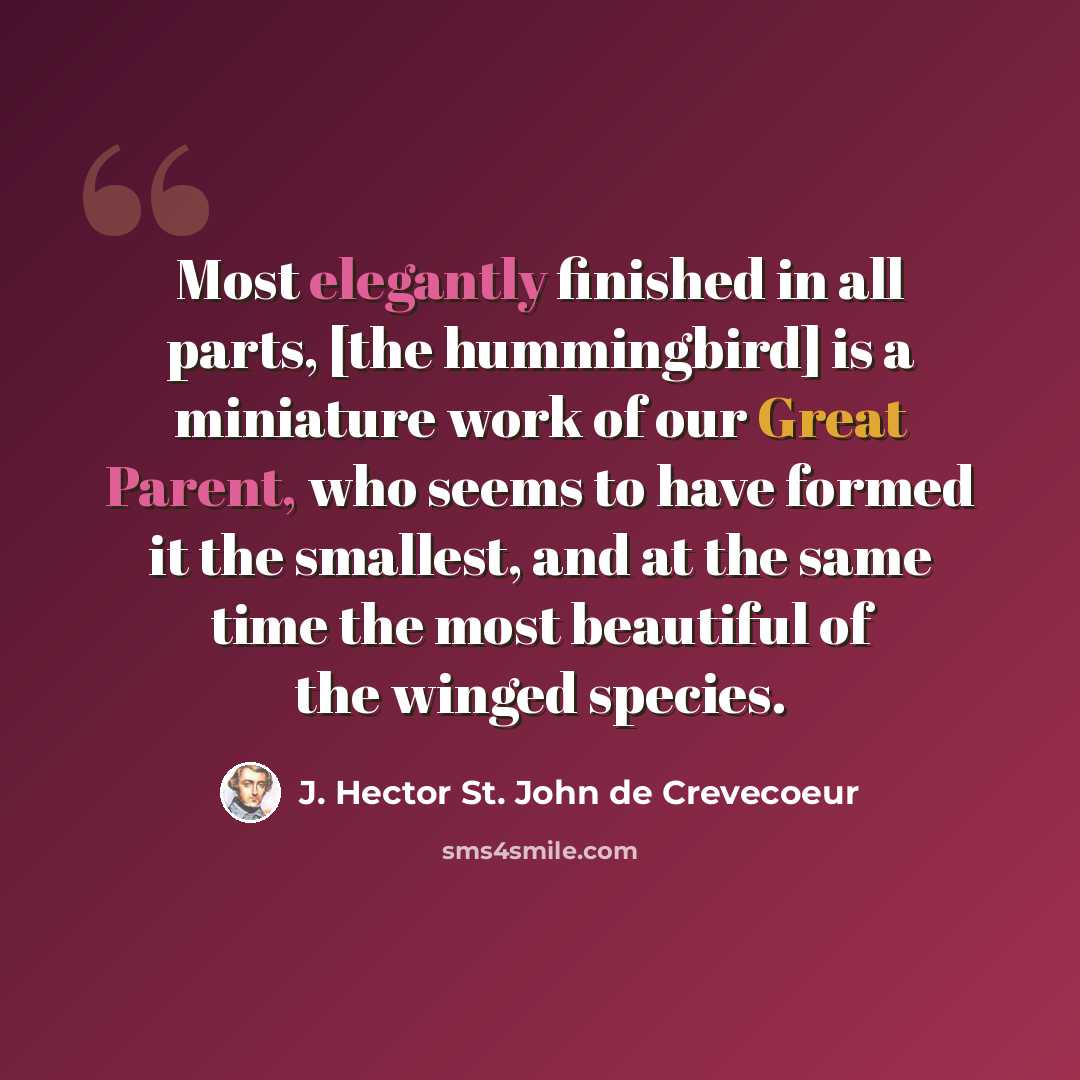 “Most elegantly finished in all parts, [the hummingbird] is a miniature work of our Great Parent, who seems to have formed it the smallest, and at the same time the most beautiful of the winged species.” quote by J. Hector St. John de Crevecoeur