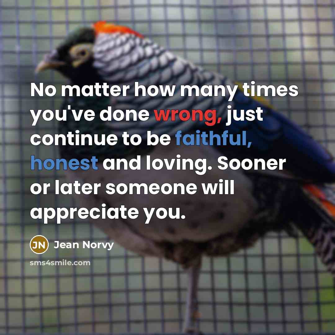 “No matter how many times you've done wrong, just continue to be faithful, honest and loving. Sooner or later someone will appreciate you.” quote by Jean Norvy
