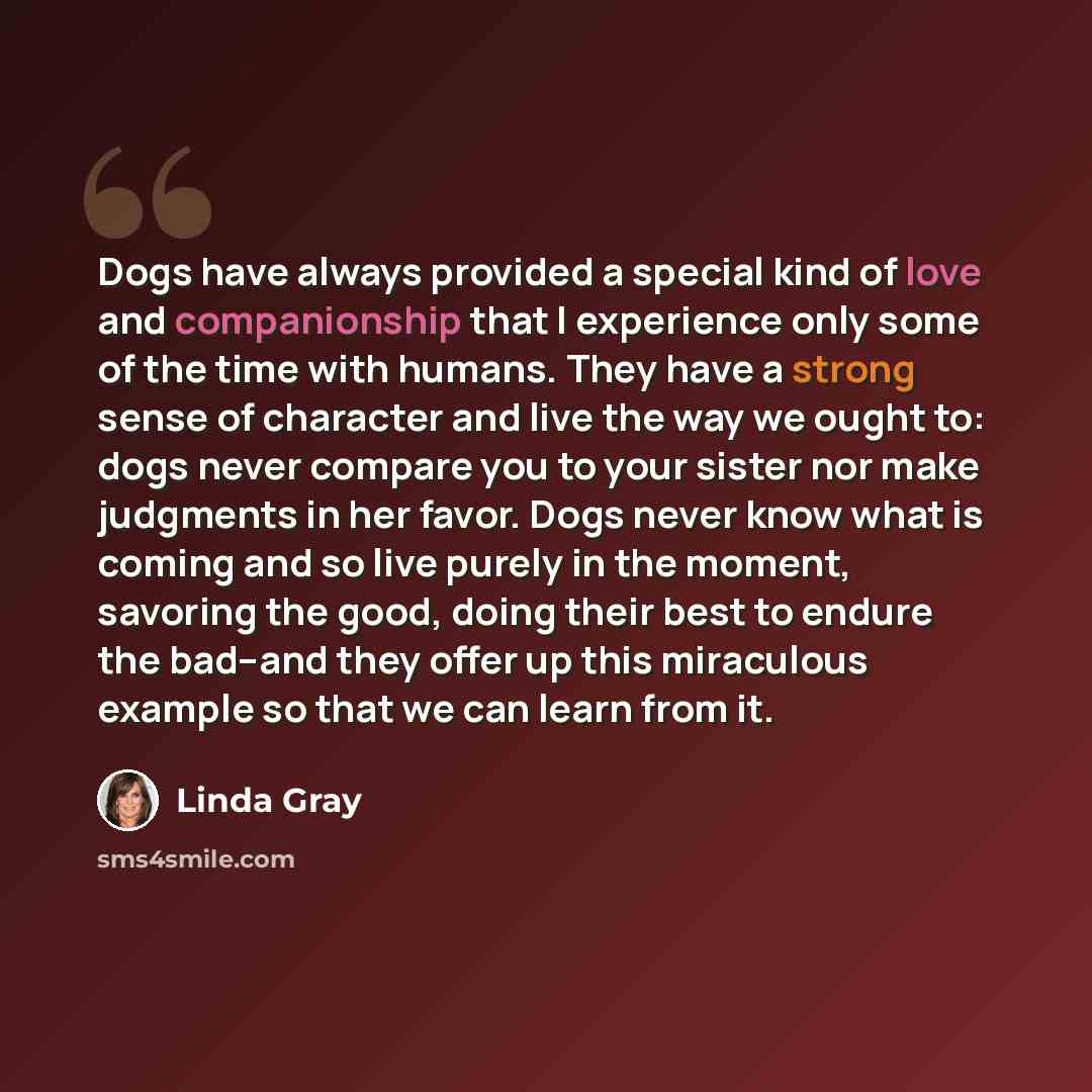 “Dogs have always provided a special kind of love and companionship that I experience only some of the time with humans. They have a strong sense of character and live the way we ought to: dogs never compare you to your sister nor make judgments in her favor. Dogs never know what is coming and so…” quote by Linda Gray