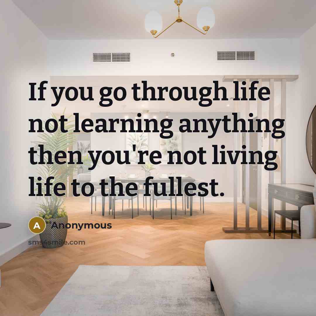 “If you go through life not learning anything then you're not living life to the fullest.” quote by Anonymous
