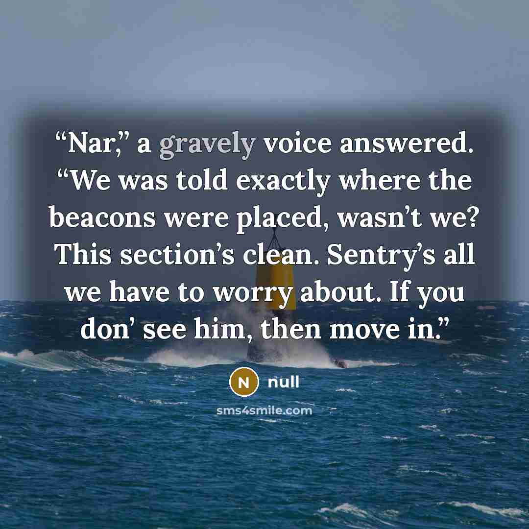 “Nar,” a gravely voice answered. “We was told exactly where the beacons were placed, wasn’t we? This section’s clean. Sentry’s all we have to worry about. If you don’ see him, then move in.” quote by null