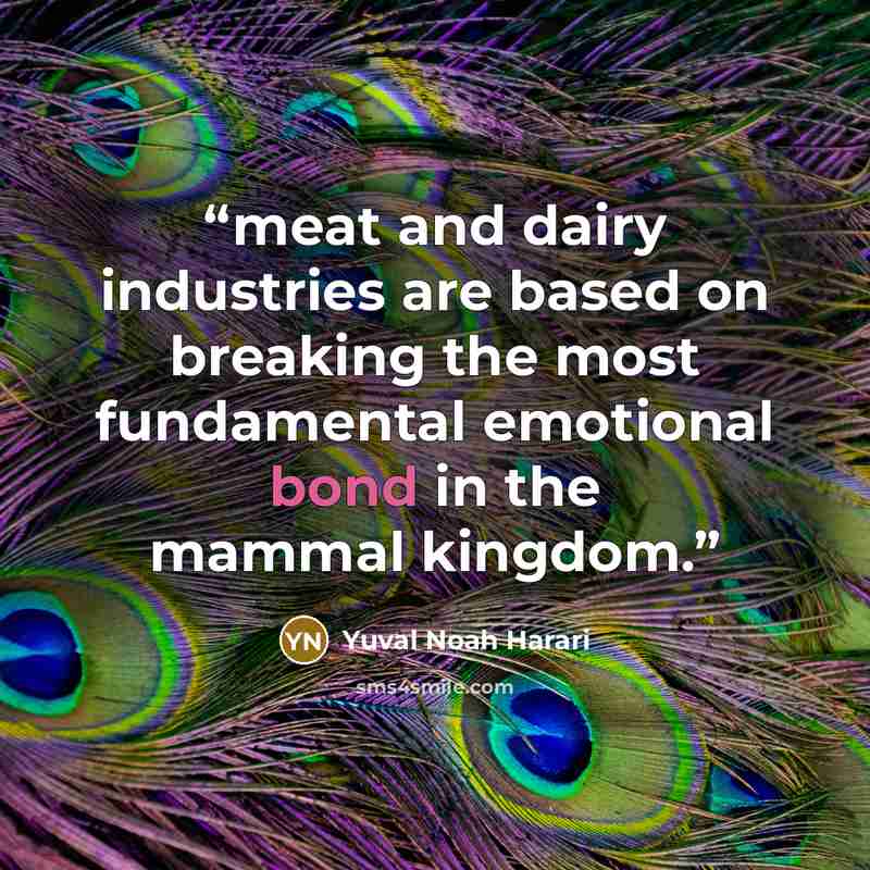 “meat and dairy industries are based on breaking the most fundamental emotional bond in the mammal kingdom.” quote by Yuval Noah Harari