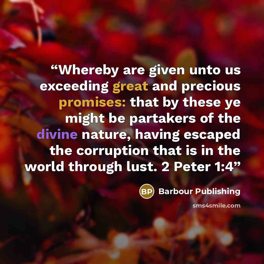 “Whereby are given unto us exceeding great and precious promises: that by these ye might be partakers of the divine nature, having escaped the corruption that is in the world through lust. 2 Peter 1:4” quote by Barbour Publishing