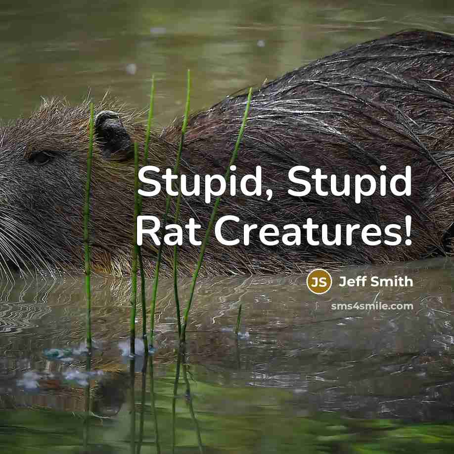“Stupid, Stupid Rat Creatures!” quote by Jeff Smith
