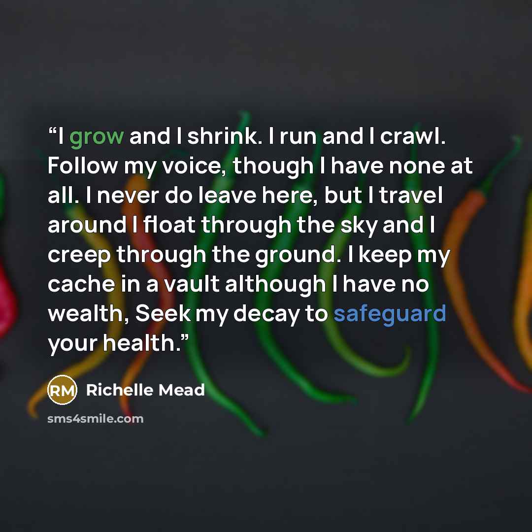“I grow and I shrink. I run and I crawl. Follow my voice, though I have none at all. I never do leave here, but I travel around I float through the sky and I creep through the ground. I keep my cache in a vault although I have no wealth, Seek my decay to safeguard your health.” quote by Richelle Mead