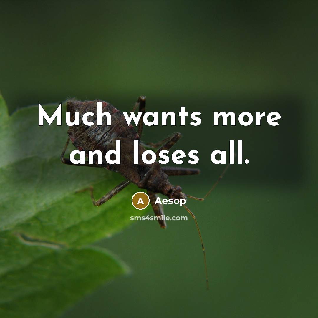 “Much wants more and loses all.” quote by Aesop