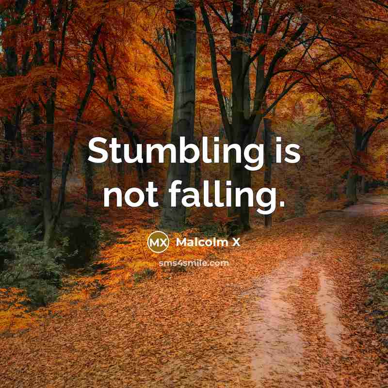 “Stumbling is not falling.” quote by Malcolm X