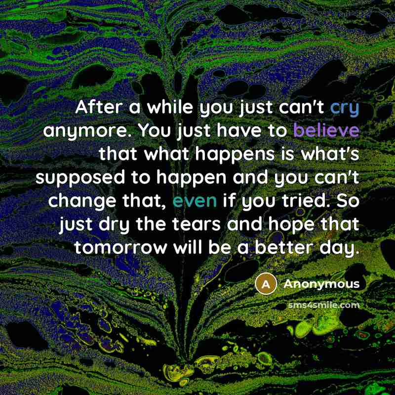 “After a while you just can't cry anymore. You just have to believe that what happens is what's supposed to happen and you can't change that, even if you tried. So just dry the tears and hope that tomorrow will be a better day.” quote by Anonymous