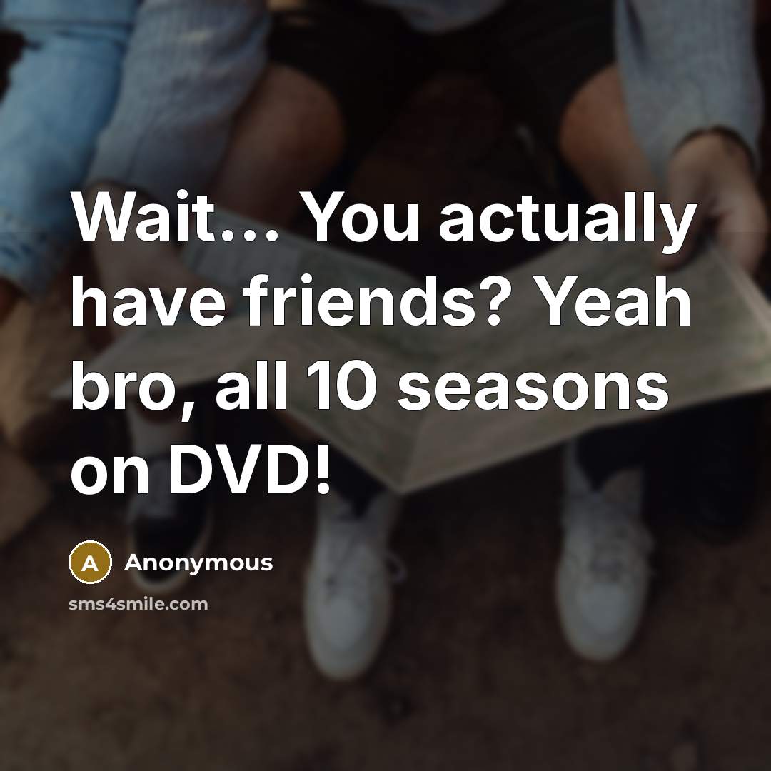 “Wait... You actually have friends? Yeah bro, all 10 seasons on DVD!” quote by Anonymous