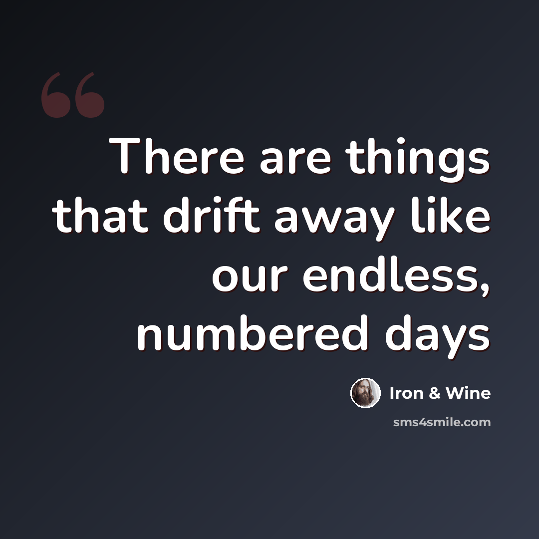 “There are things that drift away like our endless, numbered days” quote by Iron & Wine