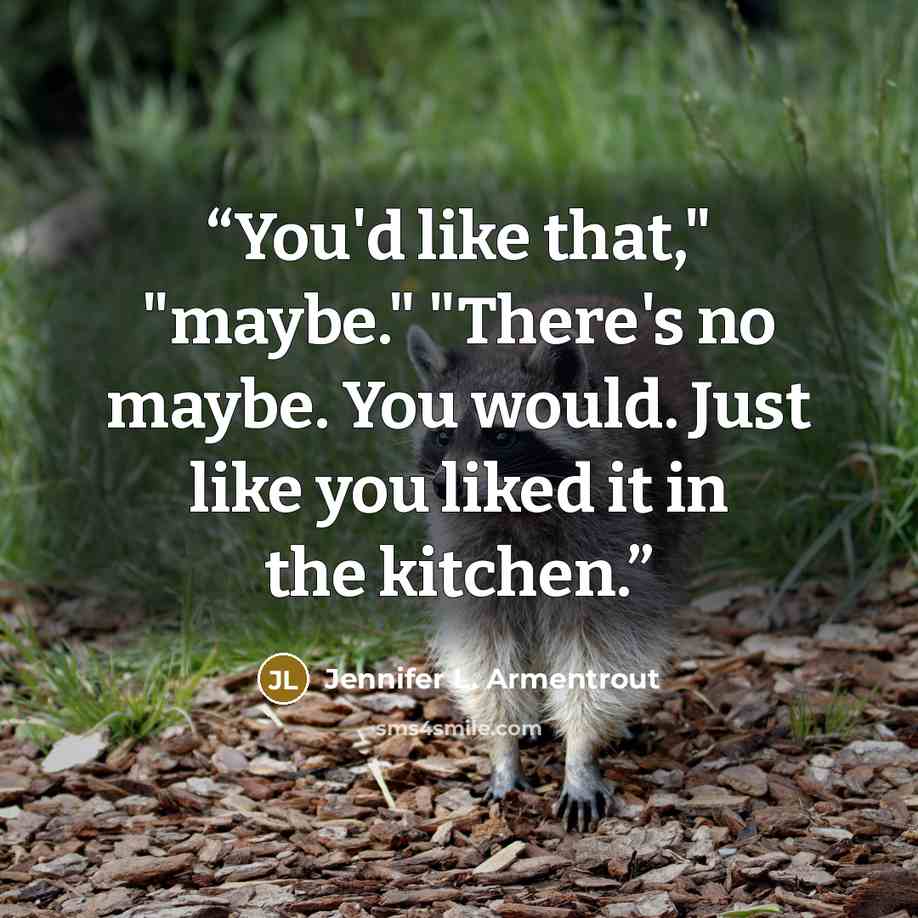 “You'd like that," "maybe." "There's no maybe. You would. Just like you liked it in the kitchen.” quote by Jennifer L. Armentrout