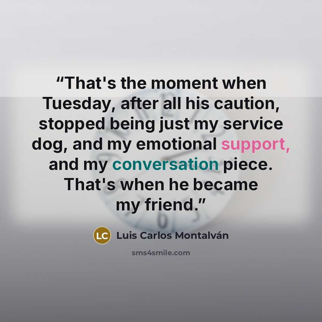 “That's the moment when Tuesday, after all his caution, stopped being just my service dog, and my emotional support, and my conversation piece. That's when he became my friend.” quote by Luis Carlos Montalván
