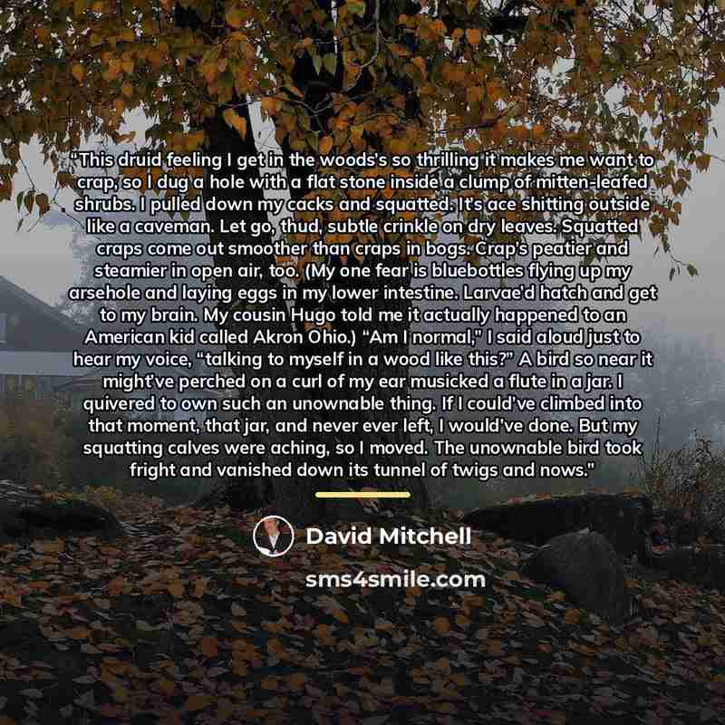 “This druid feeling I get in the woods’s so thrilling it makes me want to crap, so I dug a hole with a flat stone inside a clump of mitten-leafed shrubs. I pulled down my cacks and squatted. It’s ace shitting outside like a caveman. Let go, thud, subtle crinkle on dry leaves. Squatted craps come…” quote by David Mitchell